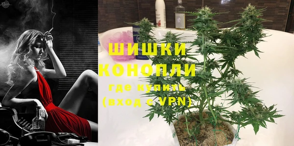 шишки Михайлов