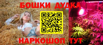 jwh Будённовск