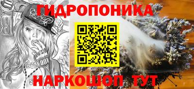 jwh Будённовск